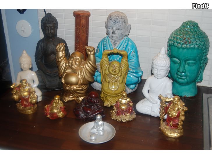BUDDHA samling