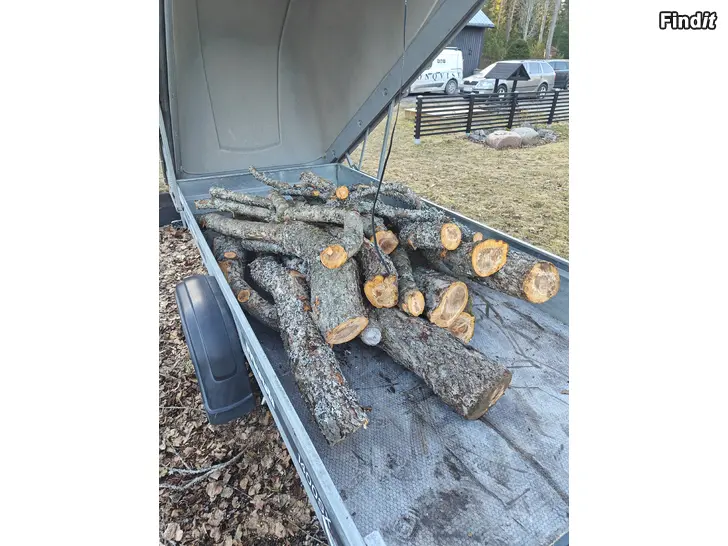 Säljes Äppelträd till snickarn