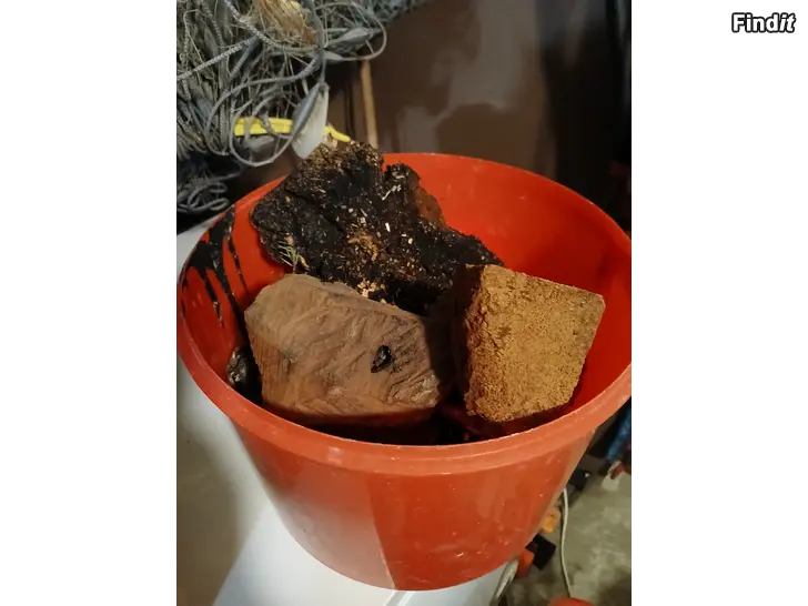 Säljes Sprängticka