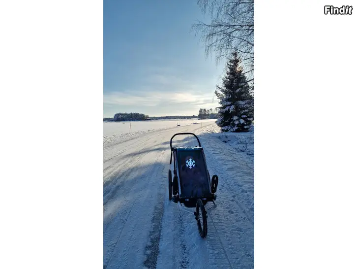 Uthyres Uthyres Thule chariot lite 1