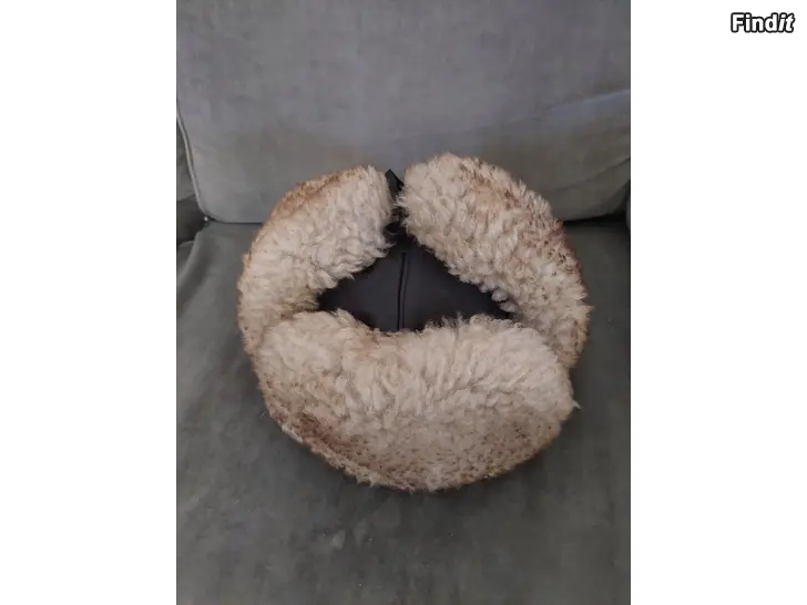 Myydään Karvalakki