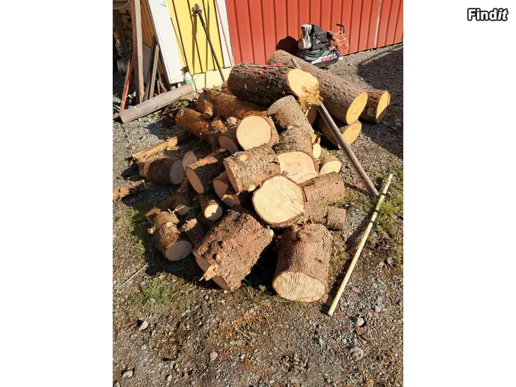Myydään Puuta