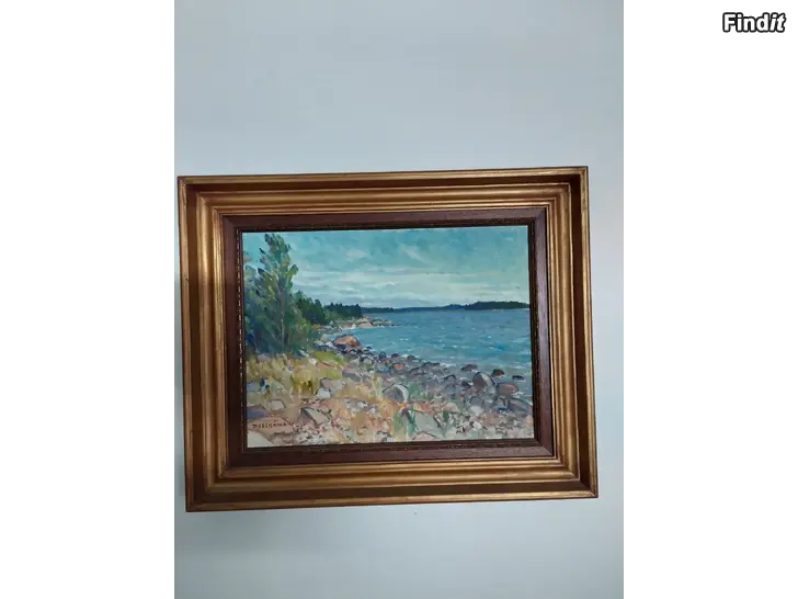 Myydään R.Selkäiaho