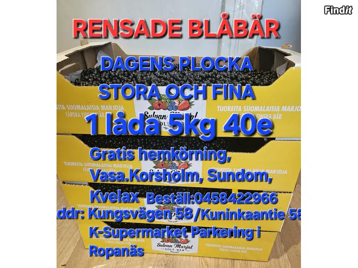 Säljes RENSADE BLÅBÄR, DAGENS PLOCKA,STORA och FINA BÄR