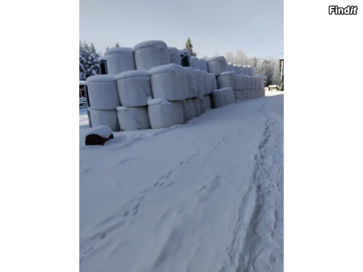 Myydään Olkipaaleja