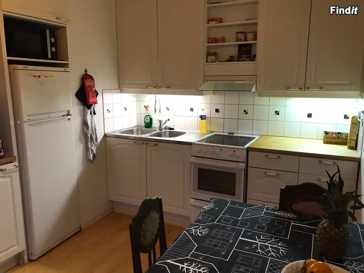 Uthyres Etta på nära avstånd till skolorna i Palosaari, men på ett lugnt läge