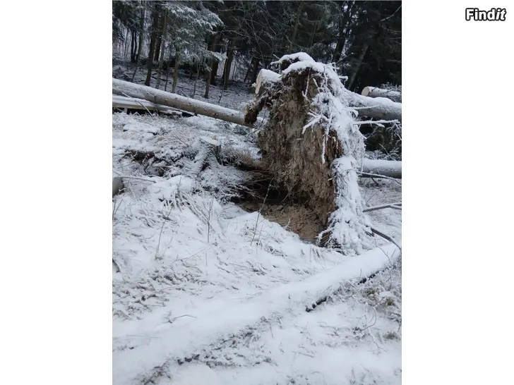 Säljes Grävarbeten  Trädfällning