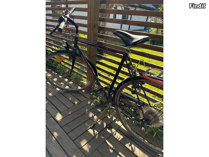 Bortges Herrcykel bortges