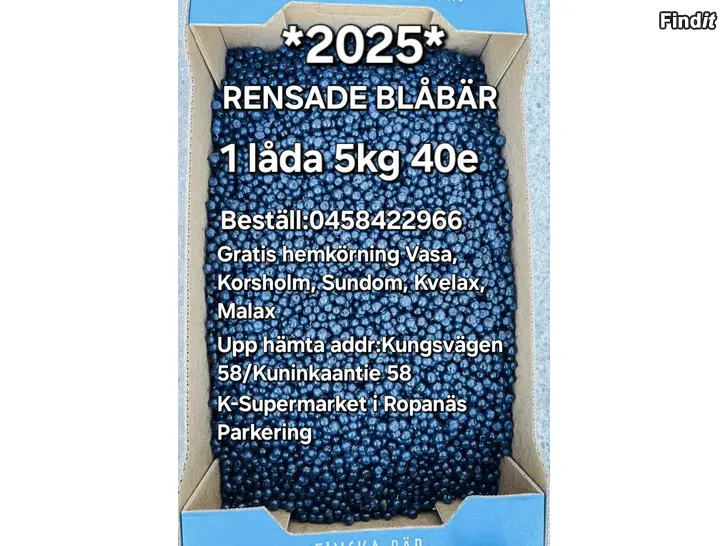 Säljes STORA OCH FINA BLÅBÄR DAGENS PLOCKA