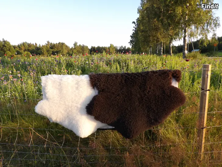 Säljes Fårskinn