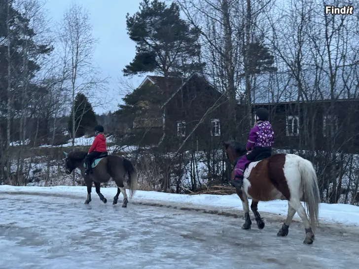 Säljes Ponnyklubb