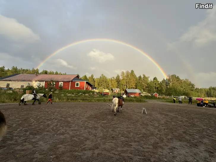 Säljes Ponnyklubb