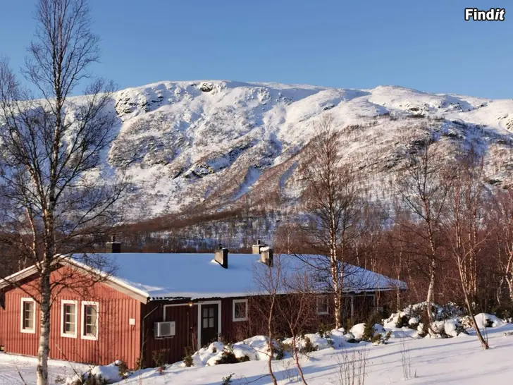 Uthyres Uthyres vecka 9/2026 eller 10/2026 i Klippen stugby, Hemavan 550