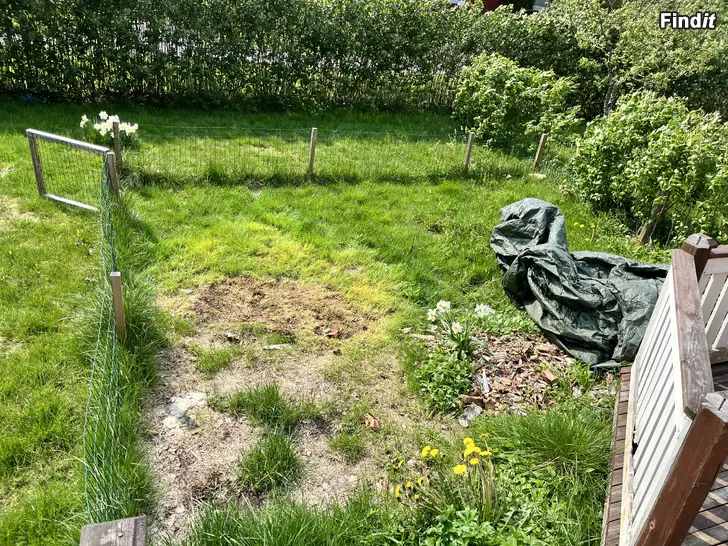 Säljes Hundhage med dörr