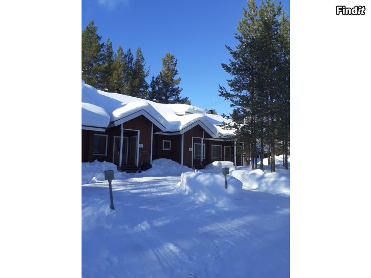 Uthyres Loma-asunto  mökki Levi vko 16 + 2 x hissilippu