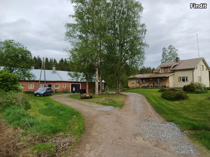 Myydään Hyväkuntoinen talo Jepualla
