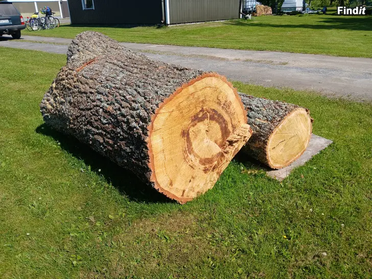 Säljes Ek stock o stubbar