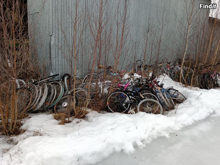 Myydään Beg, Cyklar