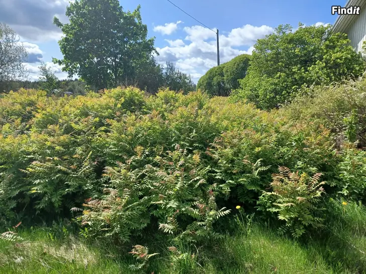 Säljes Lägenhet till salu på landet