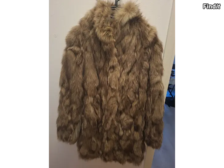 Myydään Myydään aito sinikettuturki