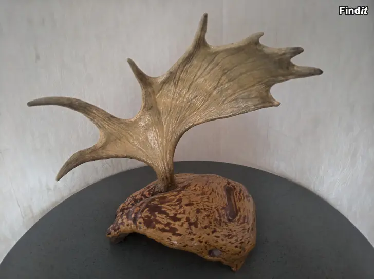 Säljes Tosi hieno puupahka ja hirvensarvet esim. mökille.