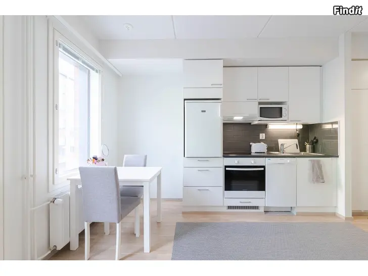 Uthyres Etta i fint skick i Vasa centrum vid populära teaterkvarteret