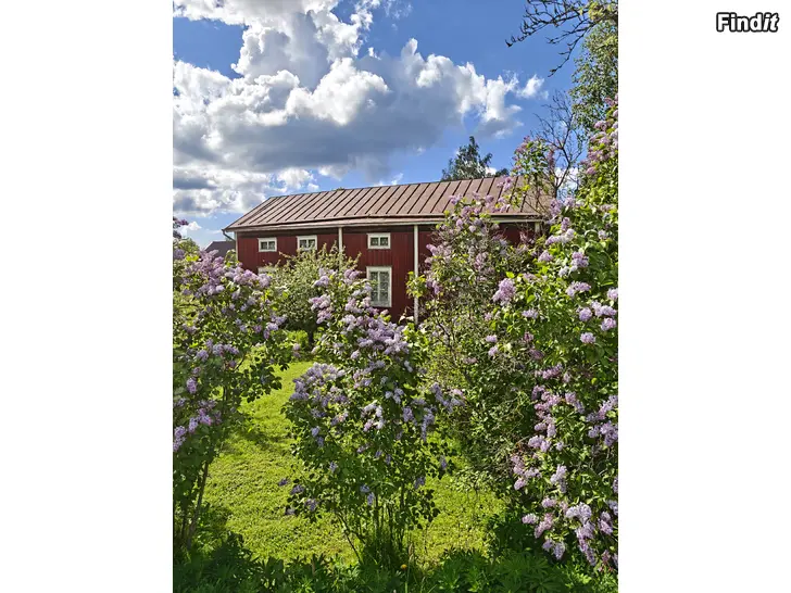 Säljes Fastighet till salu på Kyrkbacken, Malax