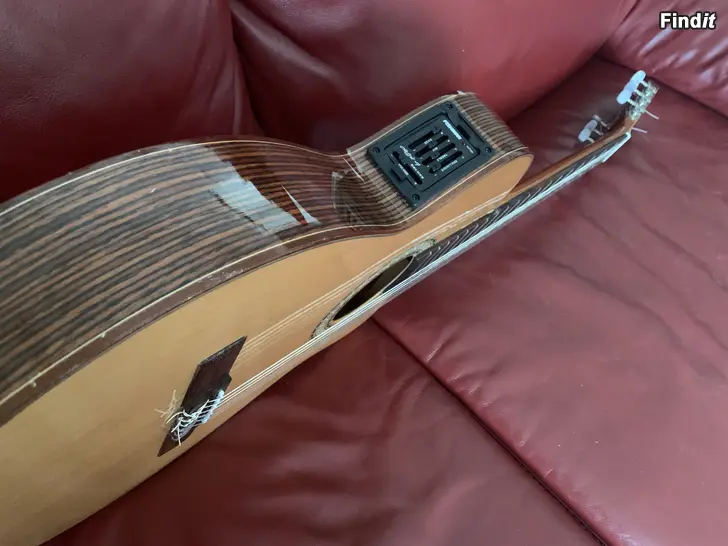 Säljes Akustisk gitarr med mikkar