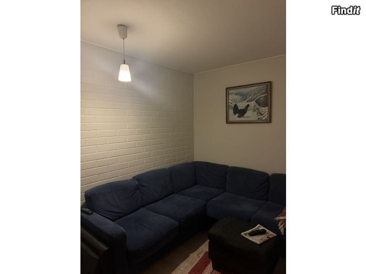 Myydään Pesukone Zanussi Lindo 100, kulmasohva ja 32 Samsung TV