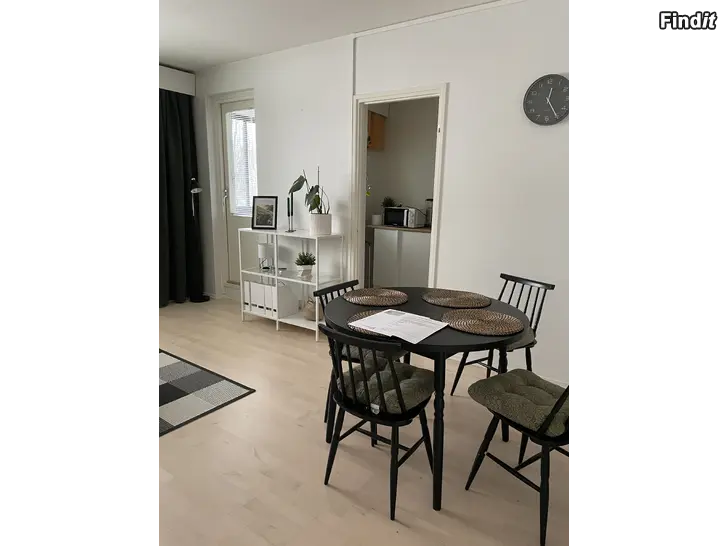 Uthyres 2 h + kk Palosaari