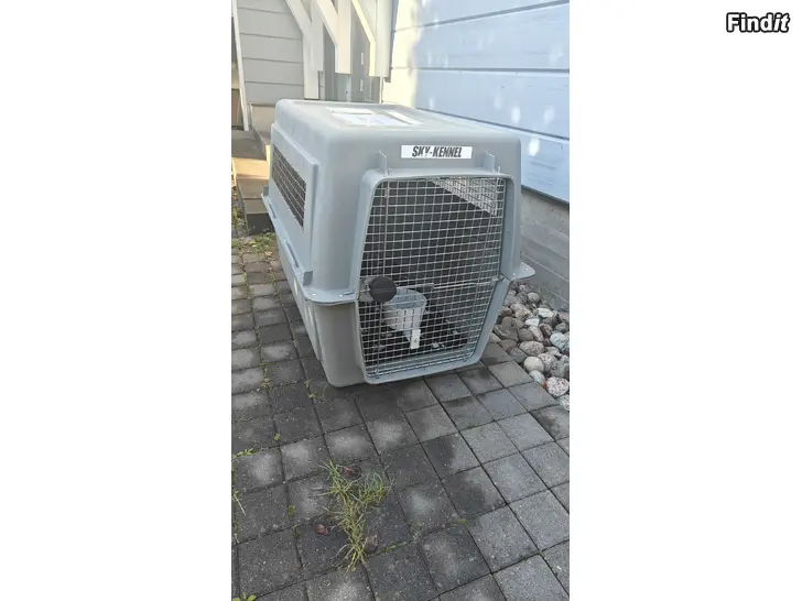 Myydään Hundbur/Lentoboksi