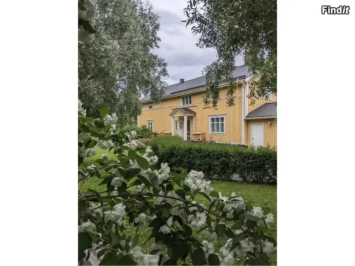 Uthyres Lägenhet uthyres på centralt på lugnt naturnära område i Närpes centrum