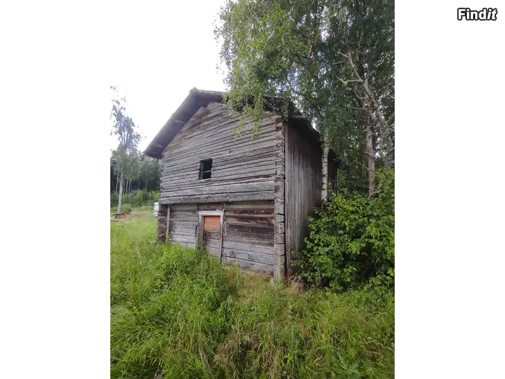 Myydään Aitta / Härbre