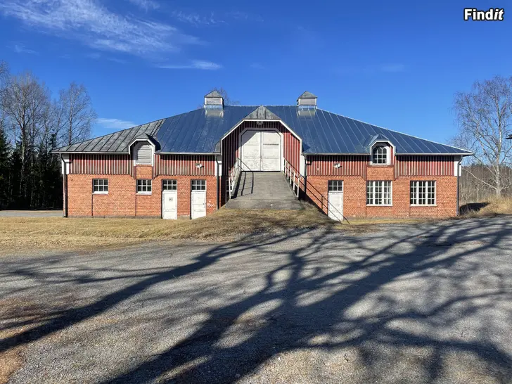 Vuokrataan Hevostalli
