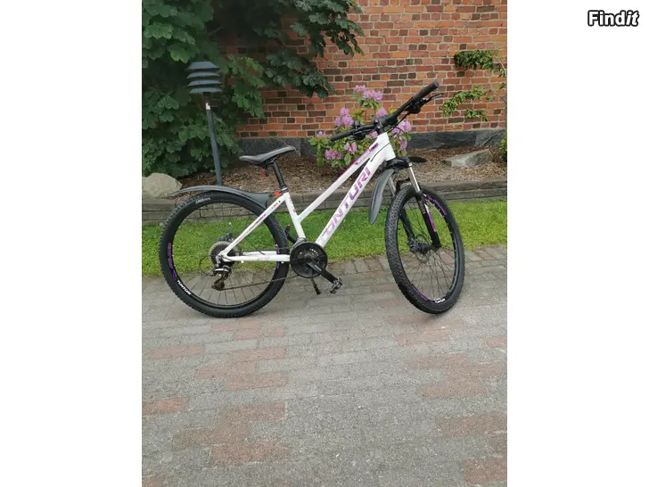 Säljes Tunturi Montana 26