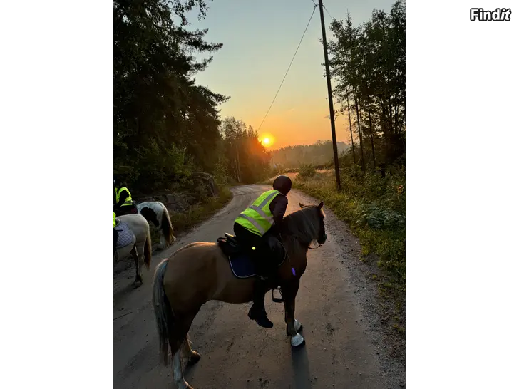 Säljes Grynings ritt
