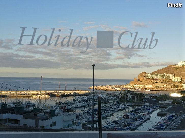 Säljes Juldagar på Kanarieöarna