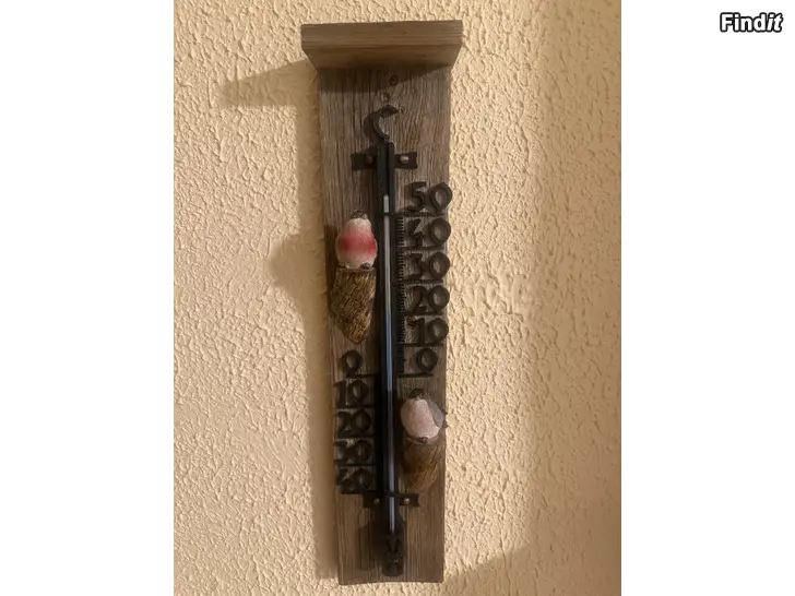 Myydään Termometer