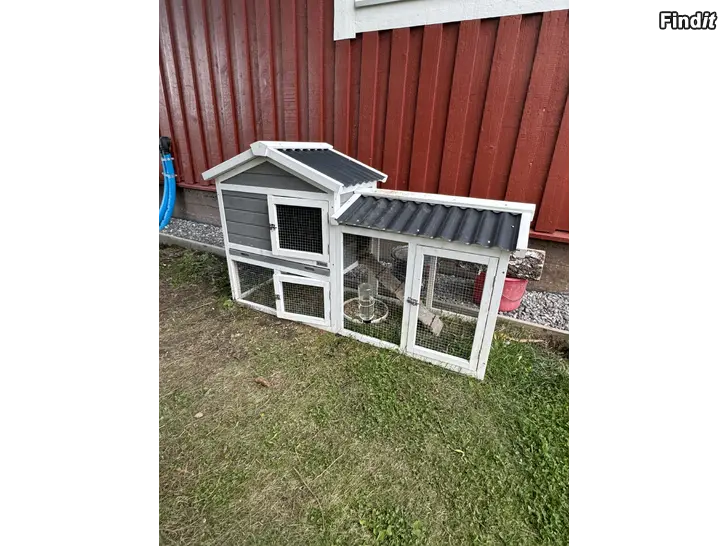 Myydään 2 st dvärgvädur kaniner + kaninhus
