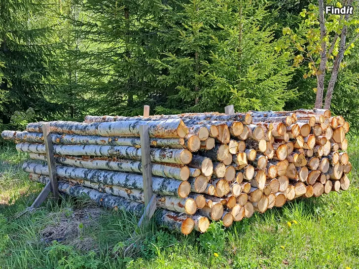 Säljes Polttopuuta kuvan kasa koivua