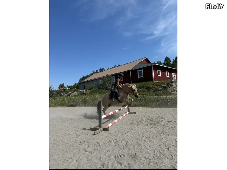 Säljes Ponnyskola