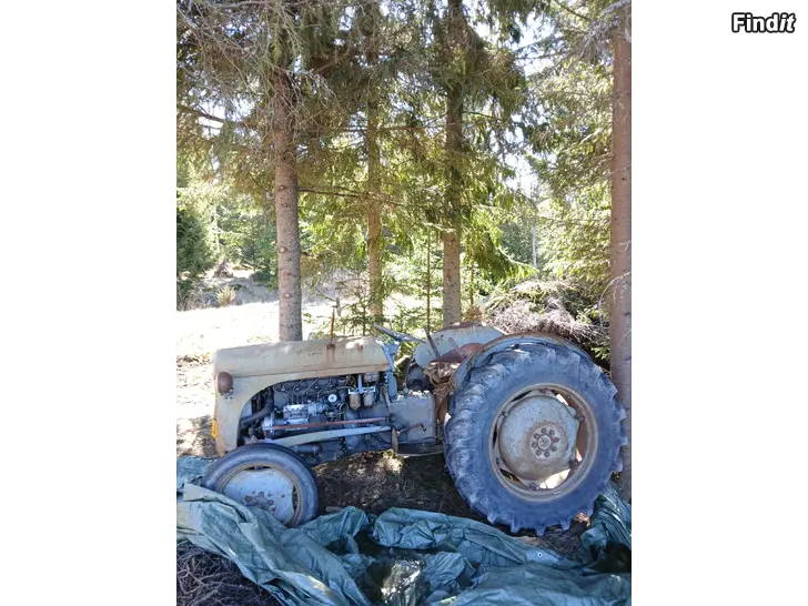 Säljes Ferguson Grålle Diesel