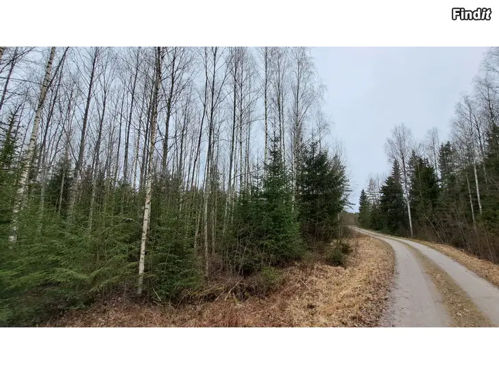 Säljes Skog i Vörå Rejpelt Norrsund