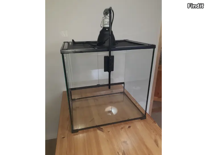 Myydään Terraario 60x45x60