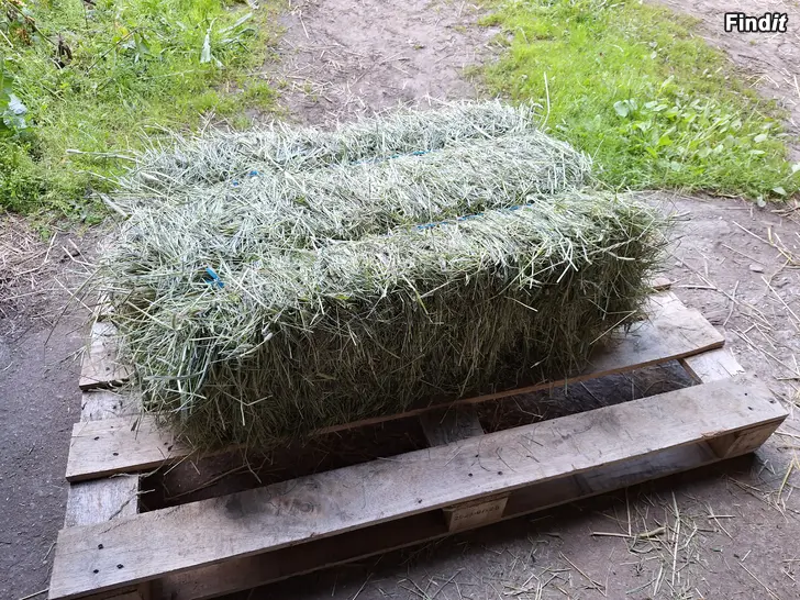 Myydään Heinää pikkupaaleissa