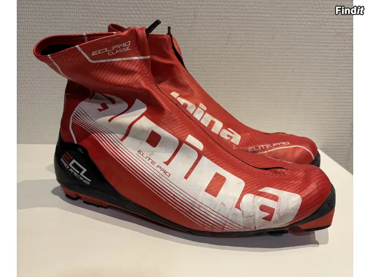 Säljes Alpina skidskor st43