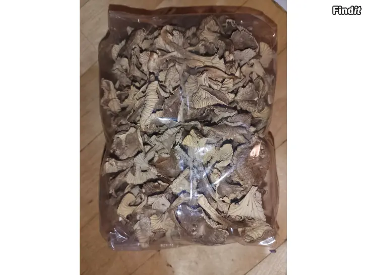 Myydään Suppilovahvero