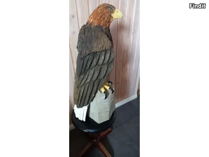 Myydään Havsörn/Merikotka