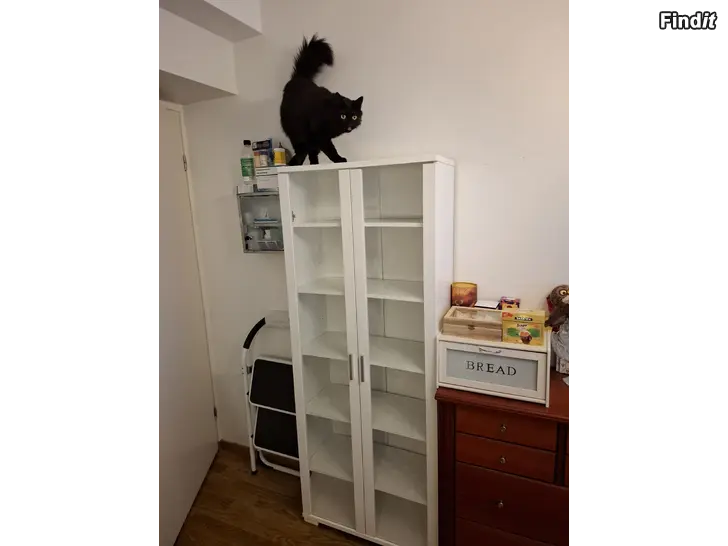 Myydään Vit vitrin / Valkoinen vitriini