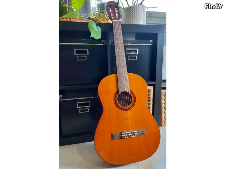Säljes Wasburn Bucklay gitarr, oanvänd